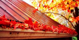 Fall maintenance tips to protect your home