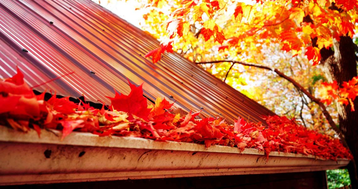 You are currently viewing Fall maintenance tips to protect your home