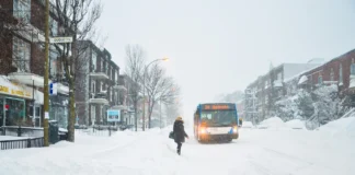 Slip and fall liability Ontario